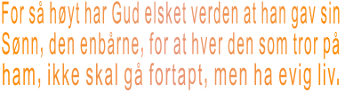 For s hyt har Gud elsket verden at han gav sin  Snn, den enbrne, for at hver den som tror p ham, ikke skal g fortapt, men ha evig liv. 